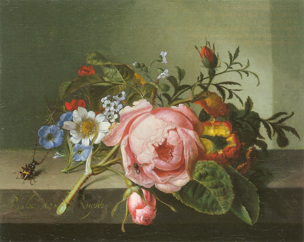 Rosenzweig mit Käfer und Biene von Rachel Ruysch