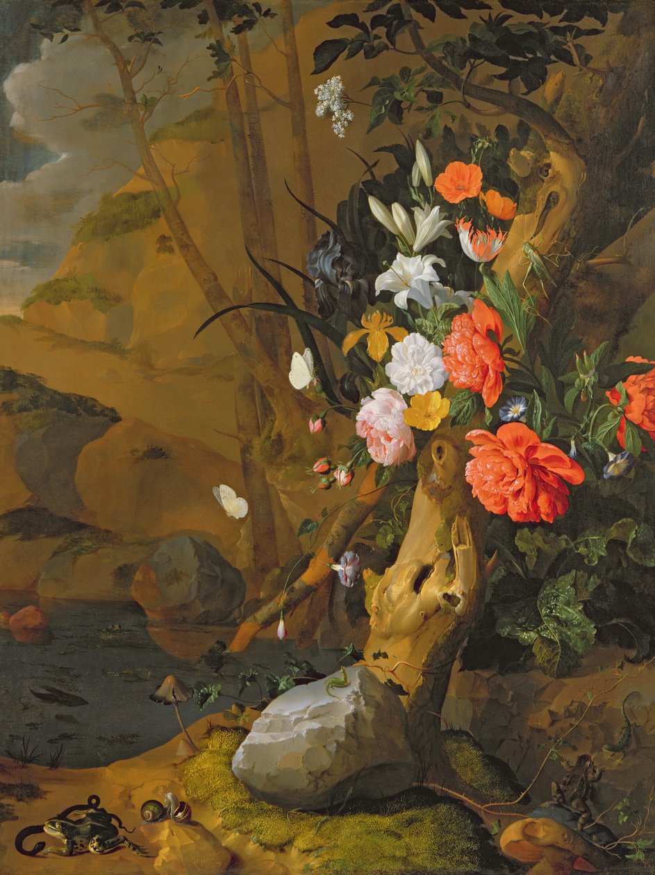 Unbekanntes Bild von Rachel Ruysch