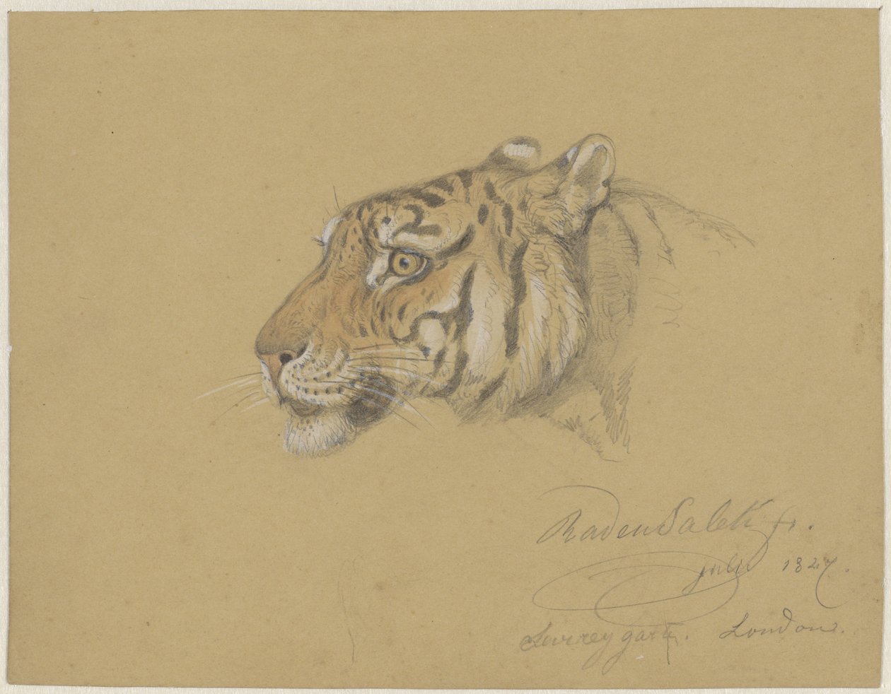 Kopf eines Tigers von Raden Sarief Bastaman Saleh