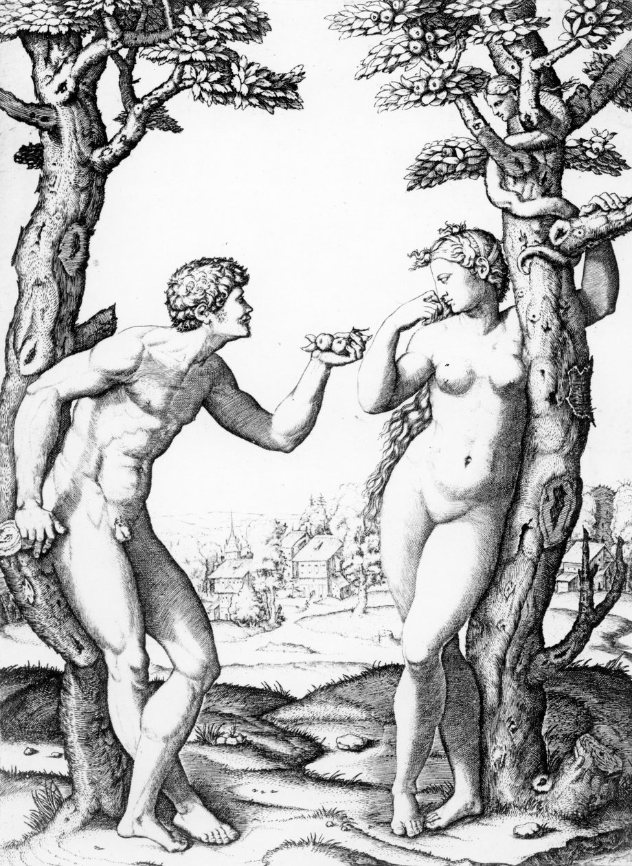 Adam und Eva, graviert von Marcantonio, ca. 1520 von Raffaello Sanzio Raphael