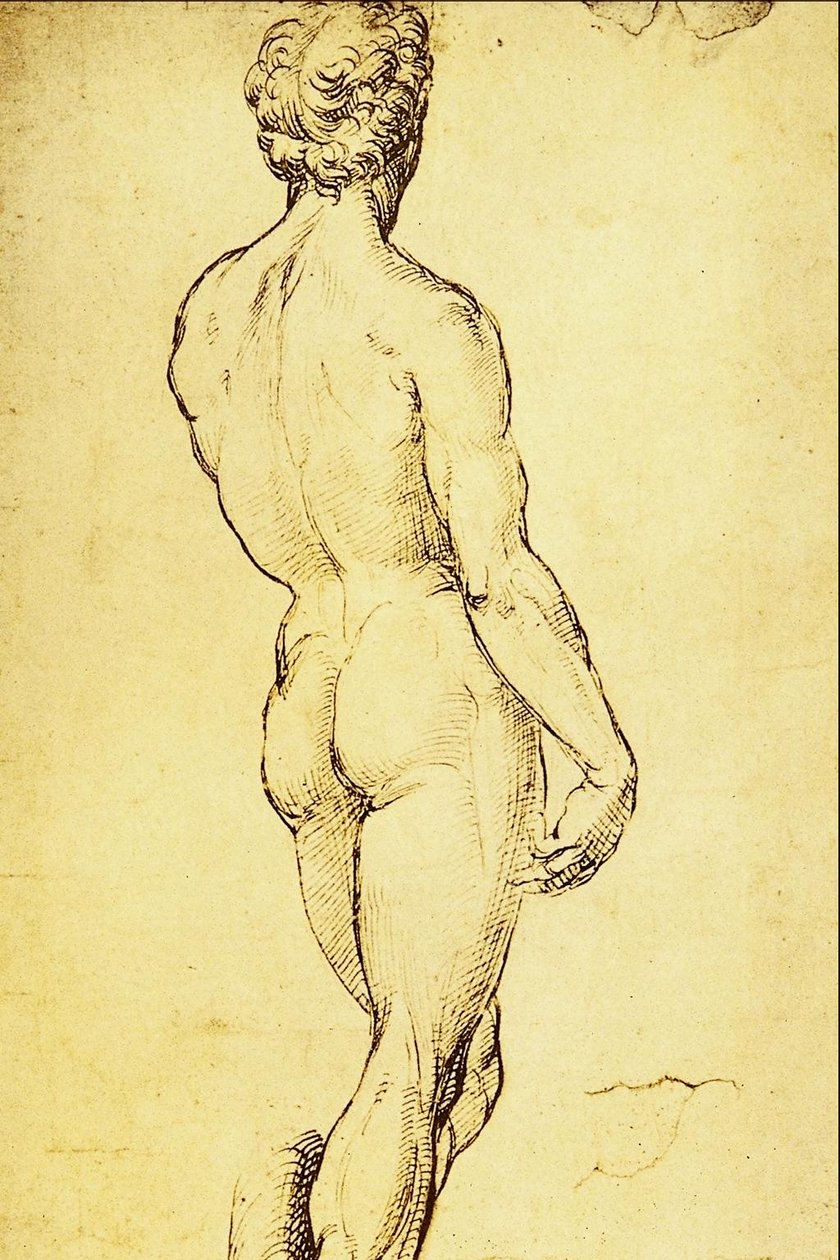 Studie eines Aktes von Raffaello Sanzio Raphael