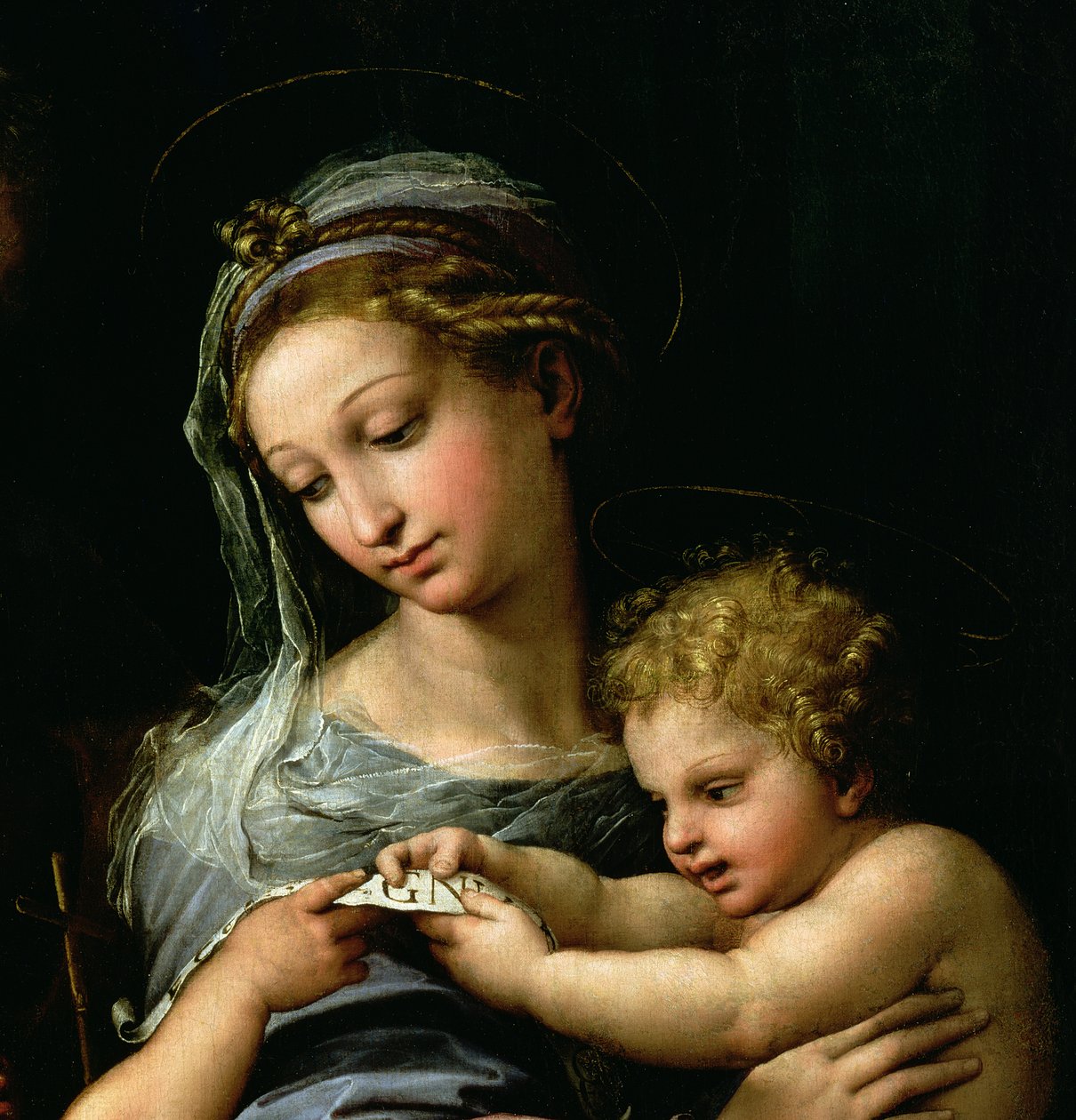 Die Jungfrau der Rose, um 1518 (Detail) von Raffaello Sanzio Raphael