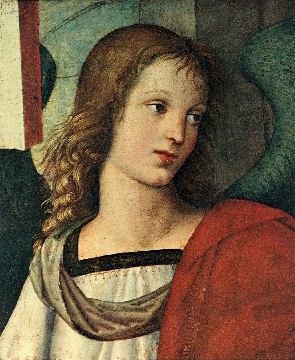 Kopf eines Engels von Raffaello Sanzio Raphael