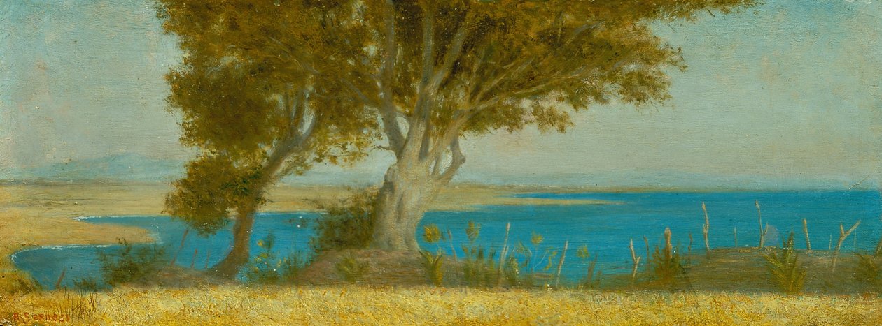 Marina di Castiglioncello von Raffaello Sernesi