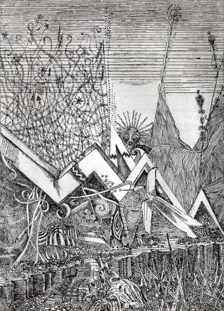Kolibri von Raimondo Gambino