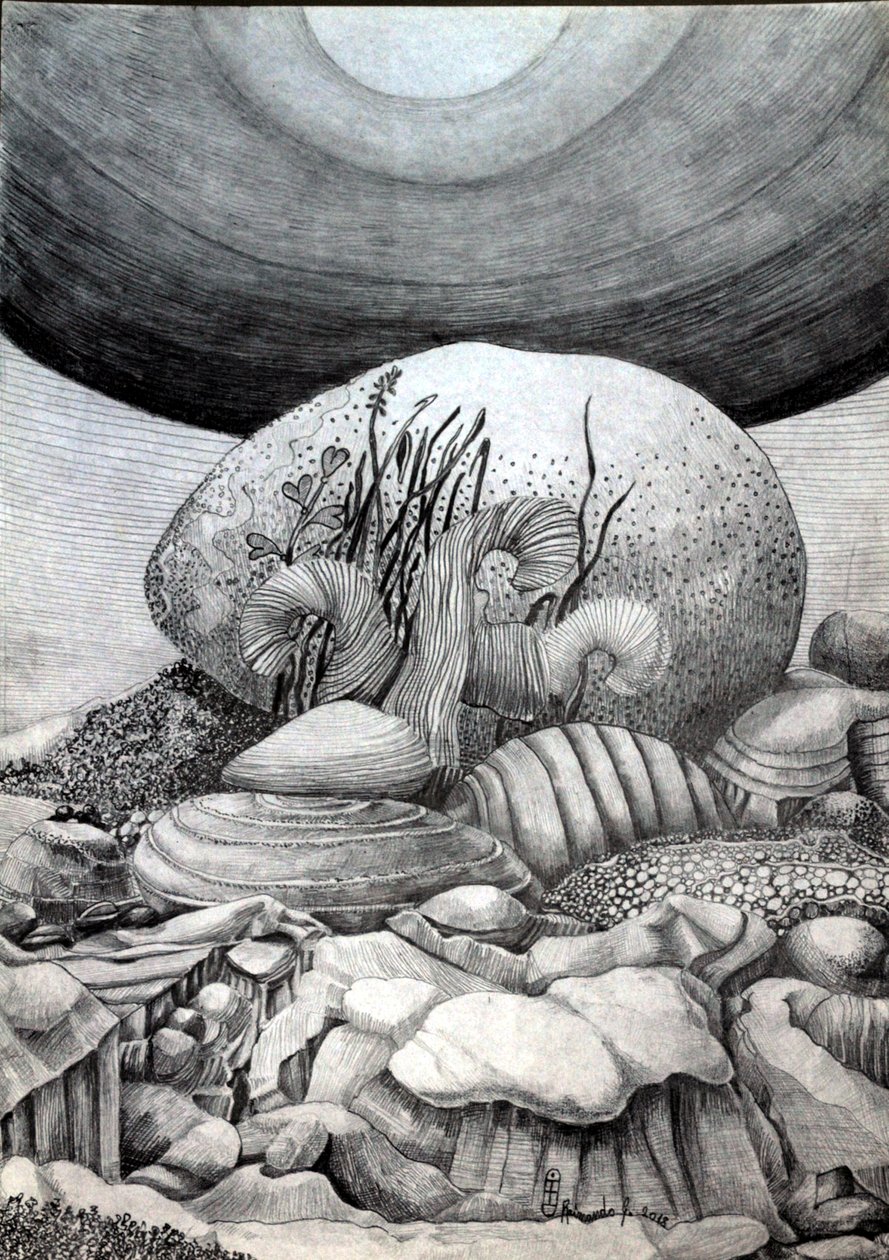 Der Stein-Ei von Raimondo Gambino