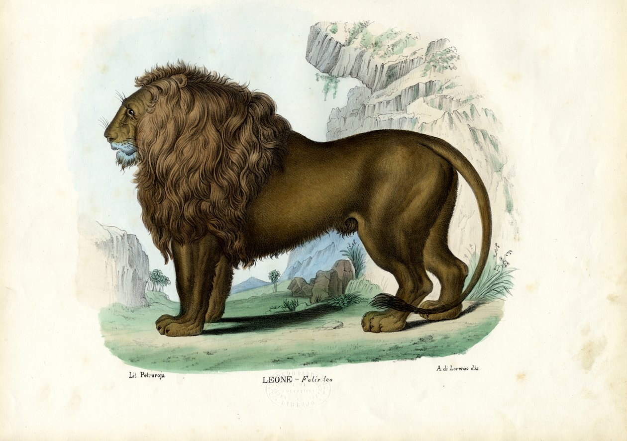 Löwe, 1863-79 von Raimundo Petraroja