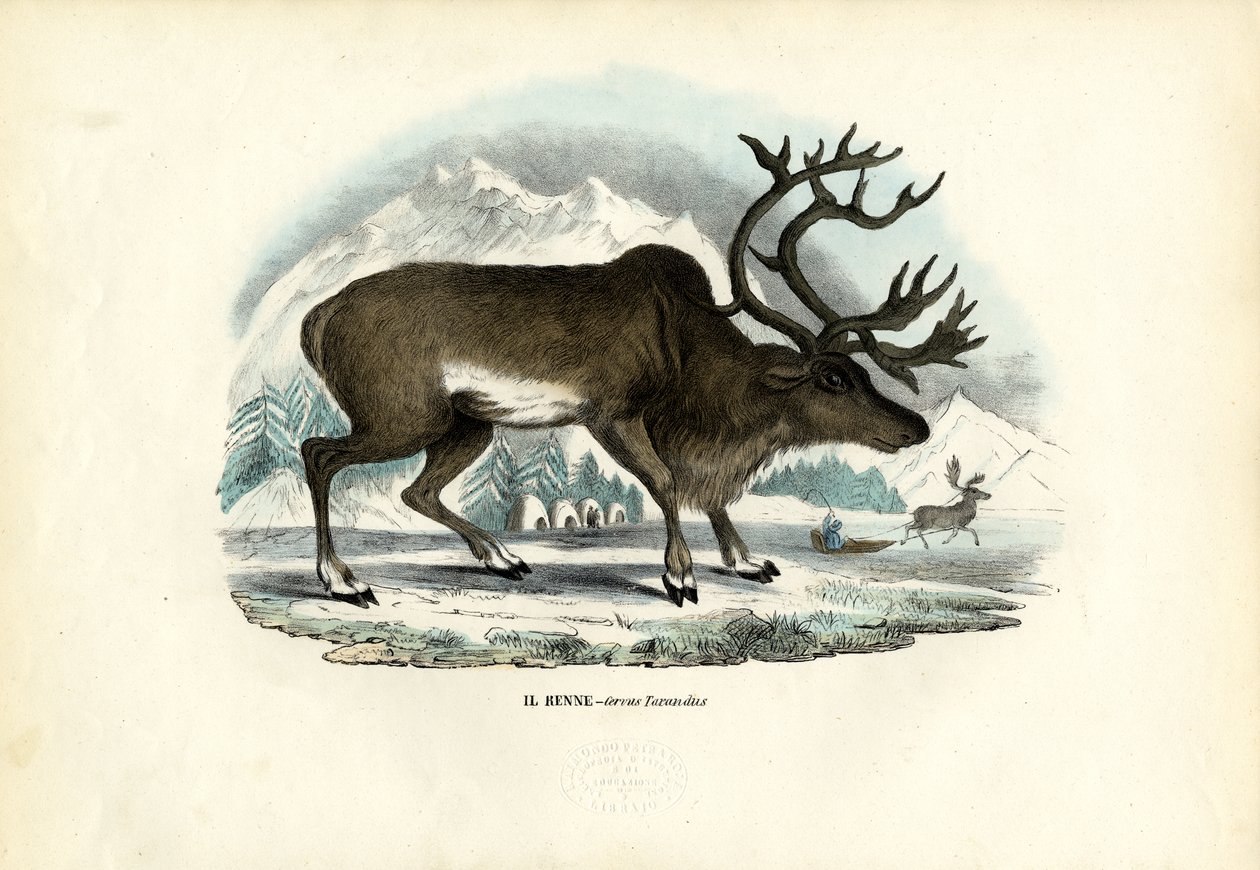 Rentier, 1863-79 von Raimundo Petraroja