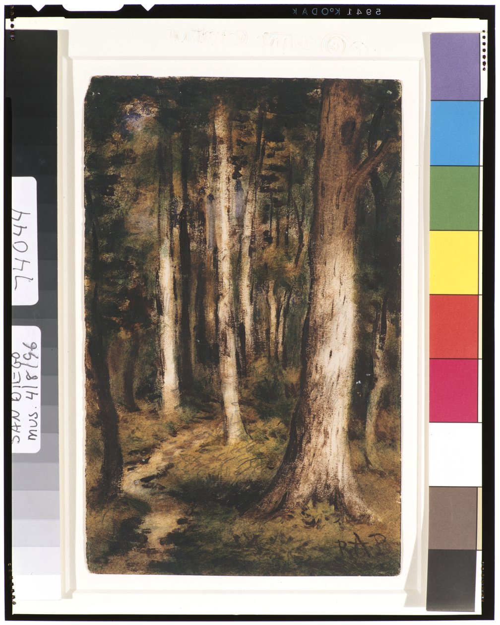 Waldszene, 1901-15 von Ralph Albert Blakelock