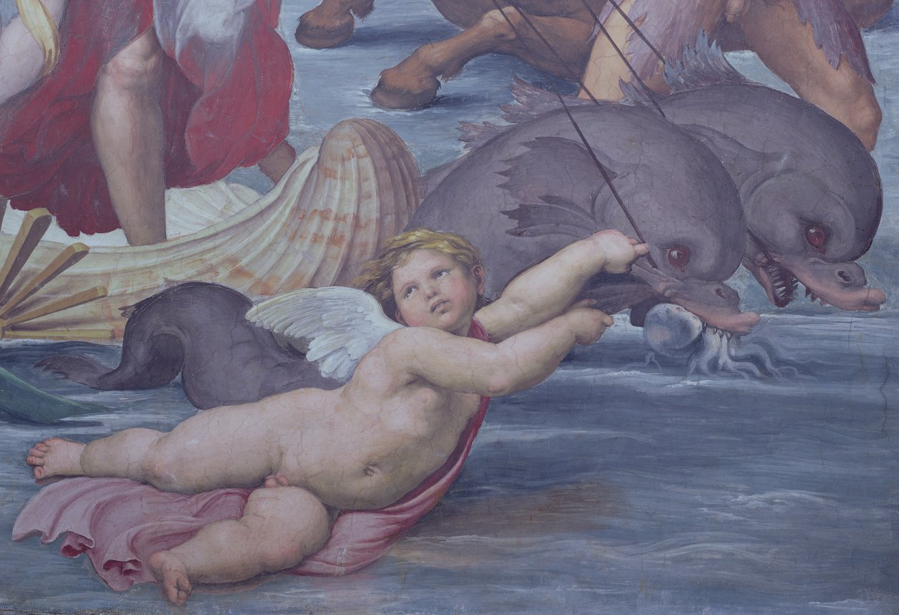 Galatea (Detail) von Raffaello Sanzio Raphael