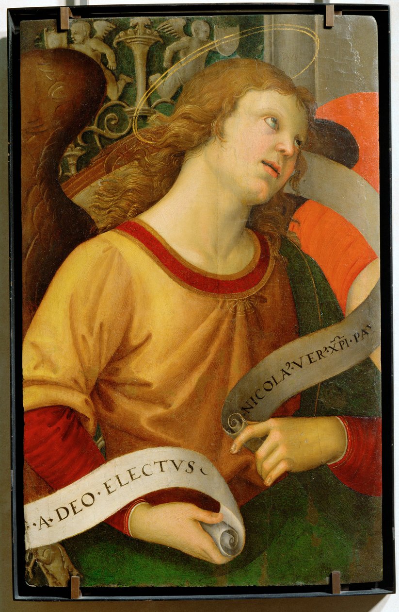Engel von Raphael (1483 1520)