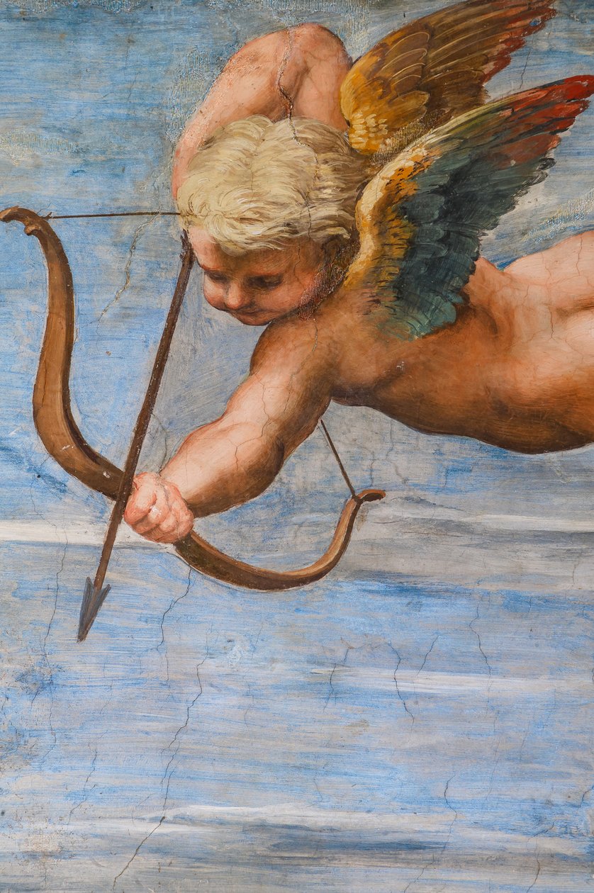 Der Triumph der Galatea von Raphael
