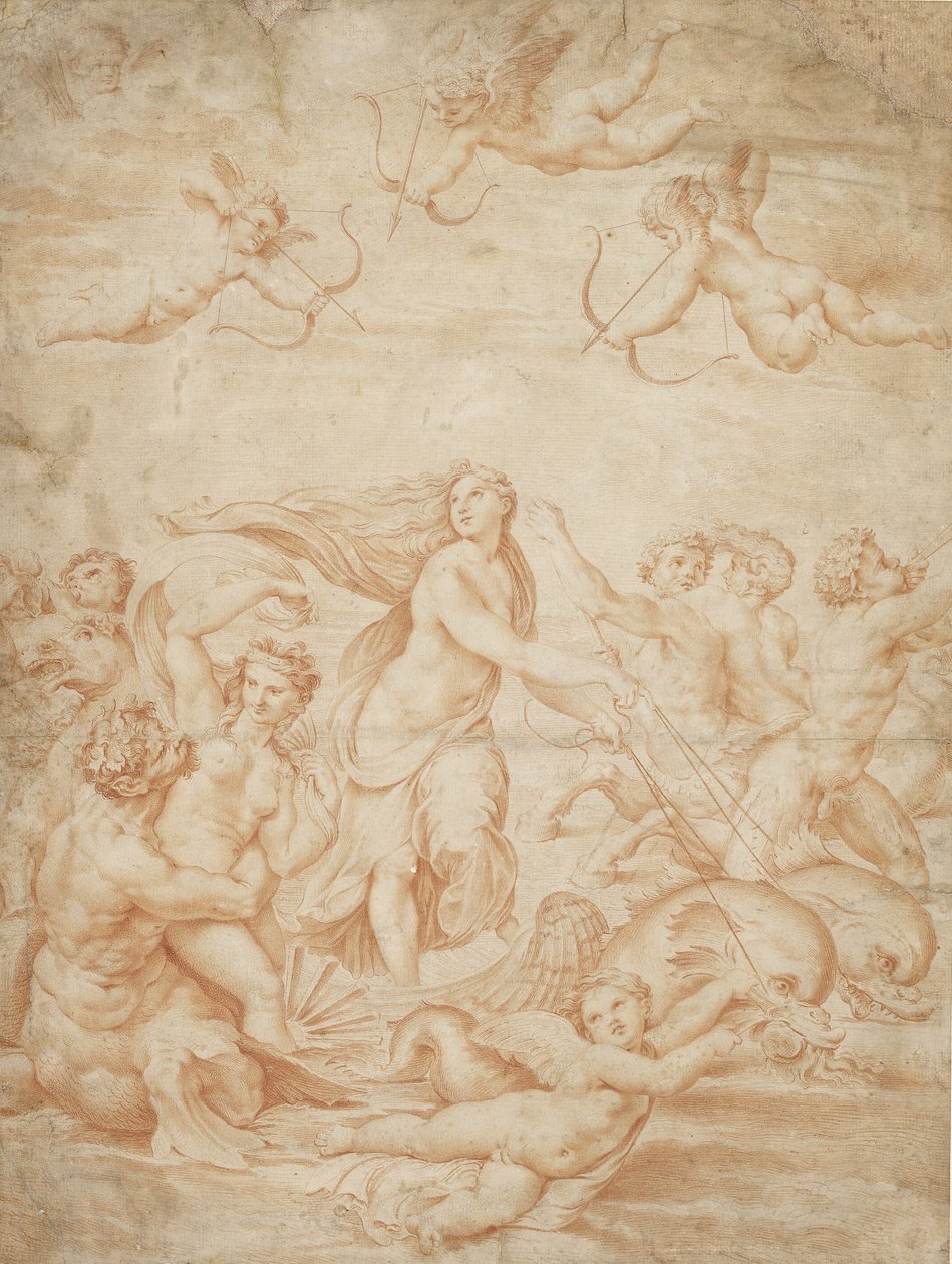 Der Triumph der Galatea von after Raphael