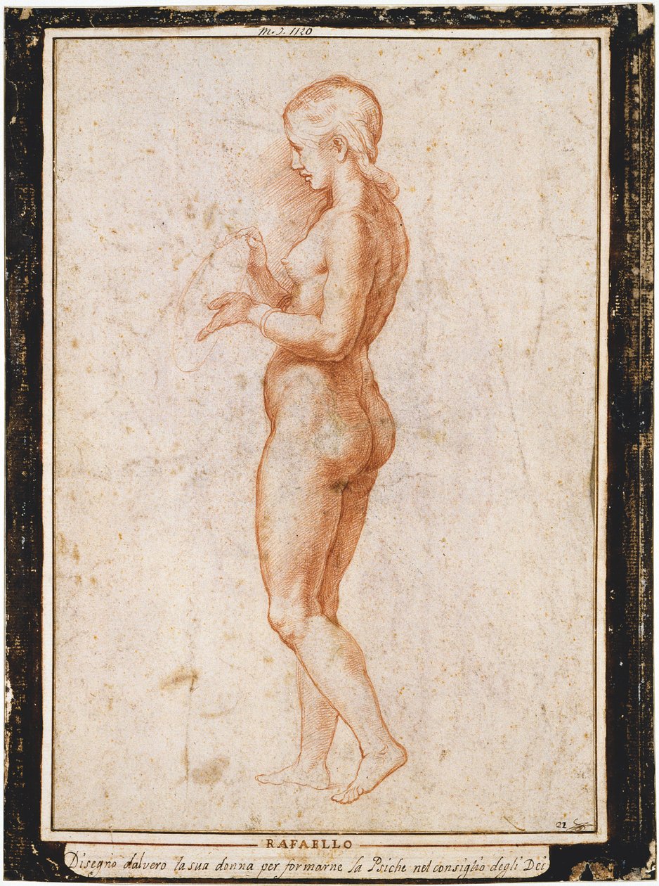 Junge weibliche Figur im Profil, ca. 1517 von Raphael