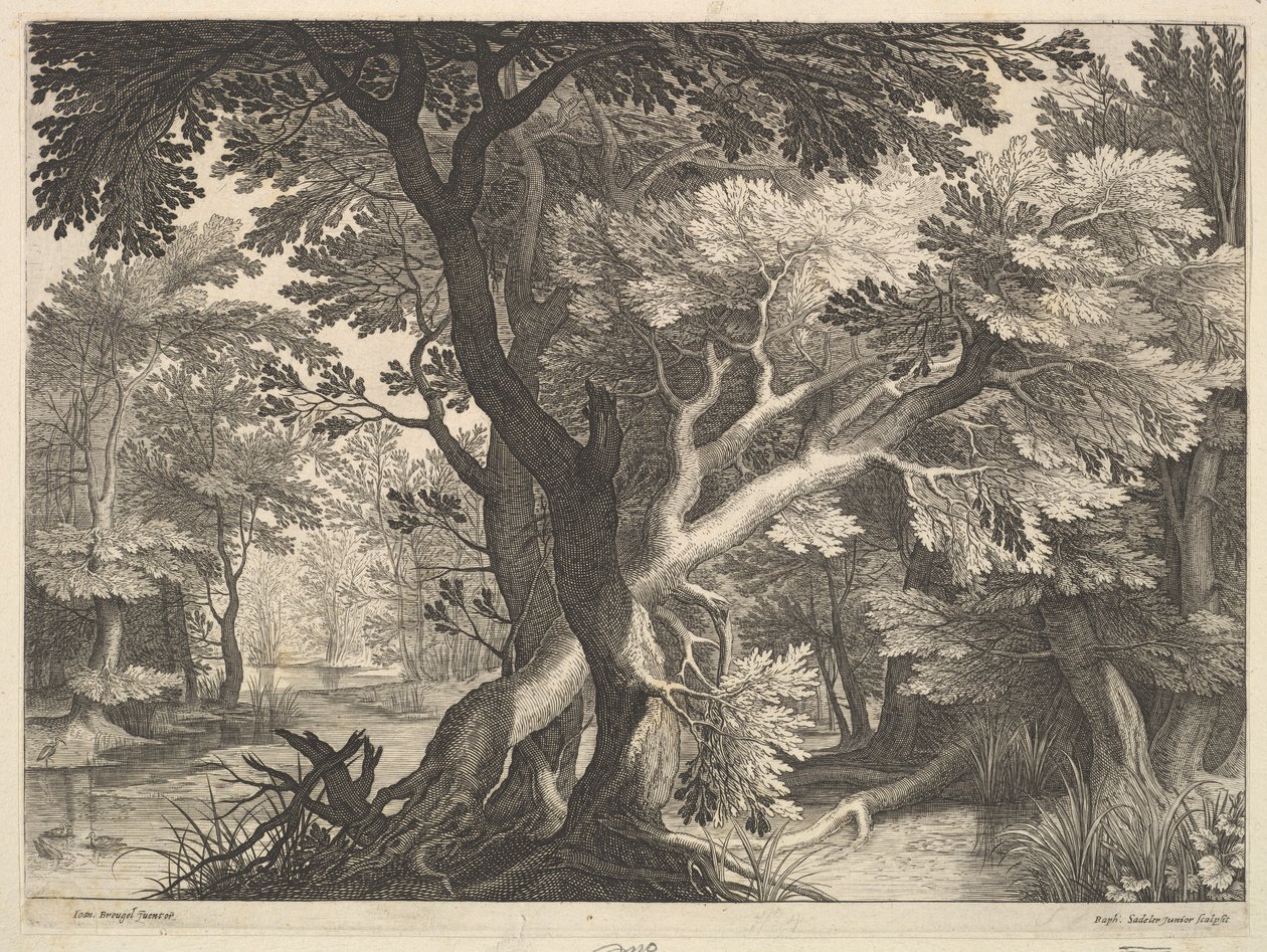 Bewaldete Landschaft von Raphael Sadeler