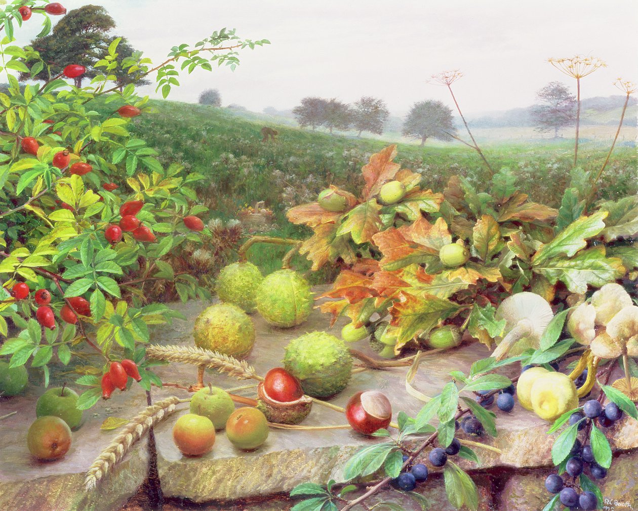Ernte der wilden Ernte von Raymond Booth
