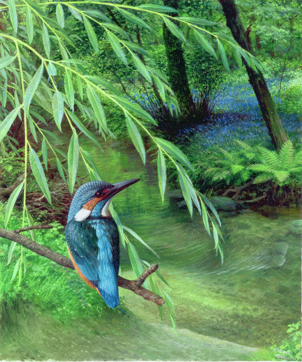 Eisvogel von Raymond Booth
