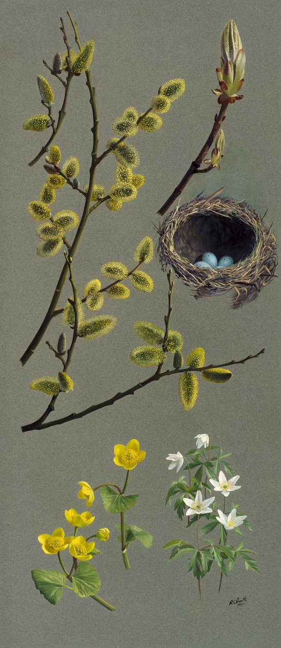 Frühlingsstudien von Raymond Booth