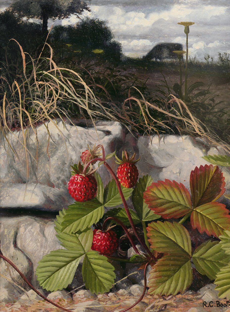 Erdbeeren von Raymond Booth