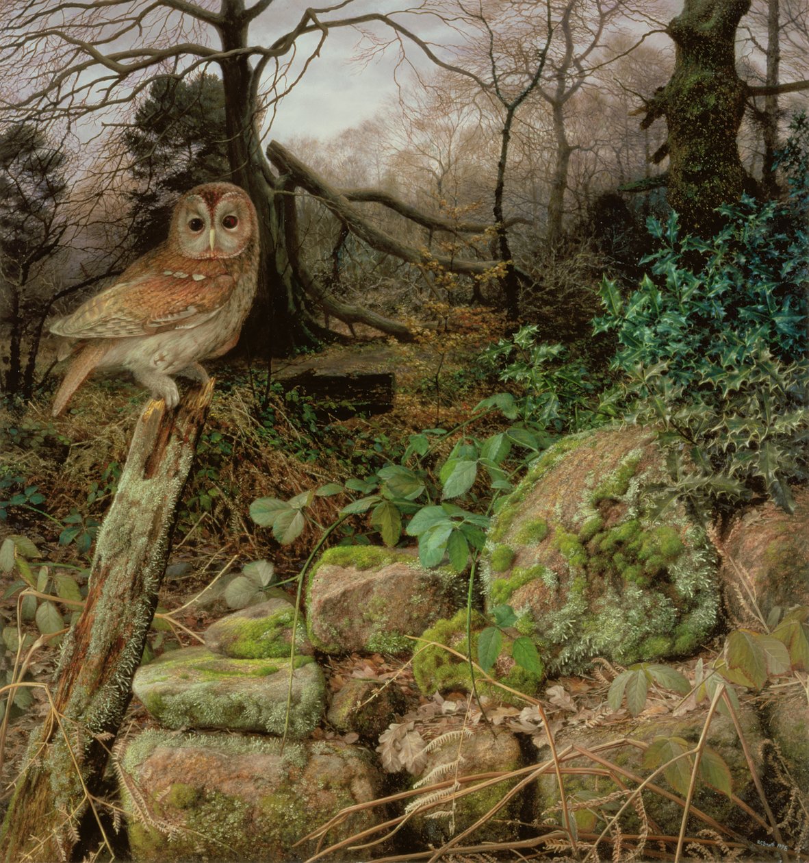Der Wilde Wald - Ein Winterabend von Raymond Booth
