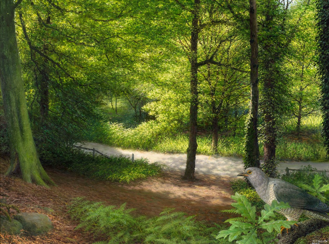 Wald mit Türkentaube von Raymond Booth