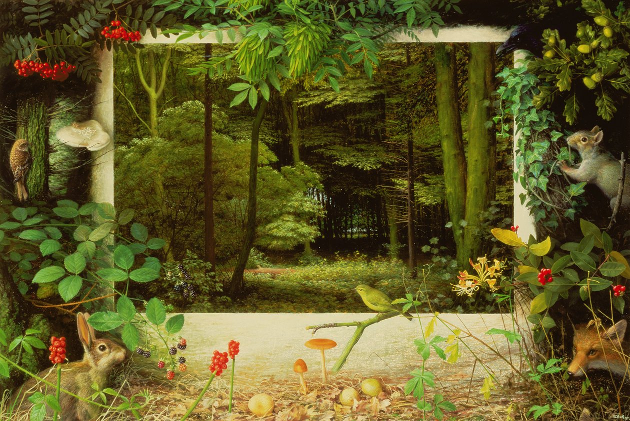 Der Eingang zum Wald von Raymond Booth