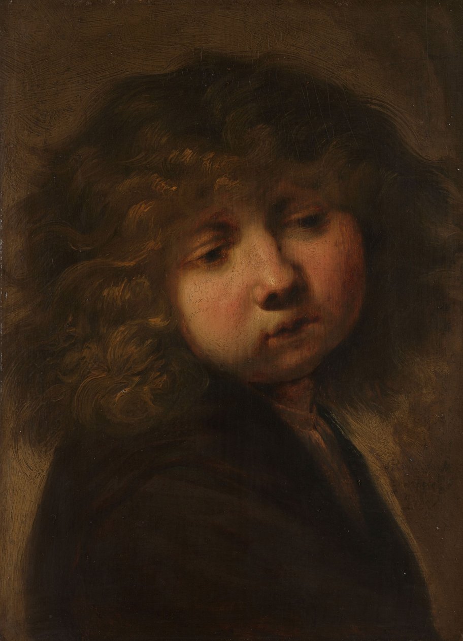 Kopf eines Jungen von Rembrandt van Rijn