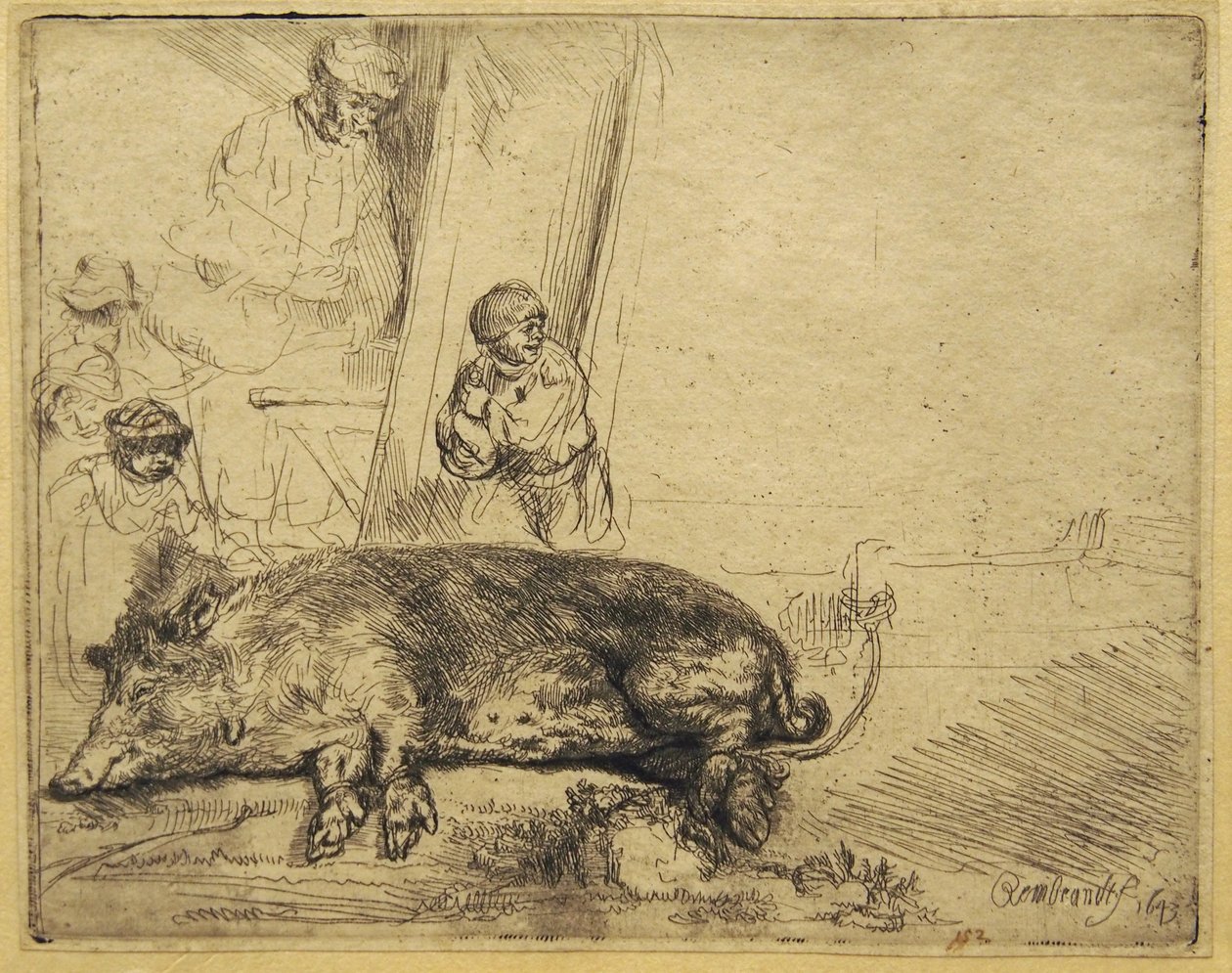 Das Schwein von Rembrandt van Rijn