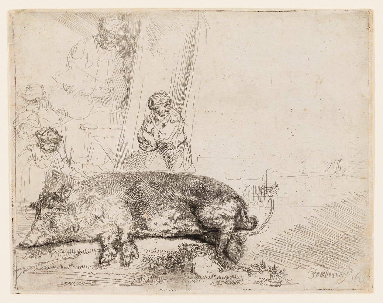 Das Schwein von Rembrandt van Rijn