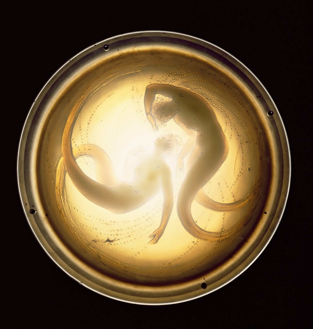 Deux Sirenes Plafonnier von Rene Jules Lalique