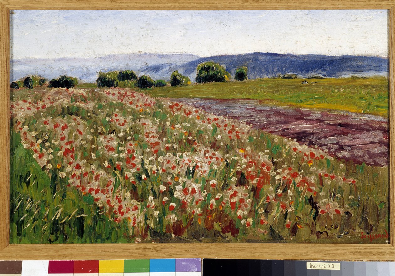 Das Mohnfeld von Rene Auguste Seyssaud