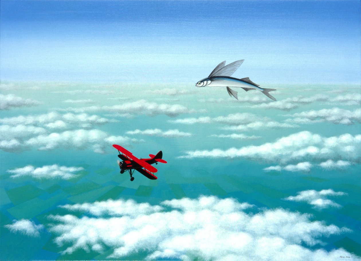 Fliegender Fisch, 2001 von Rene Boin