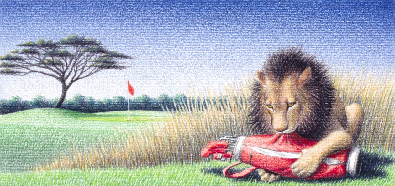 Löwe 2 von Rene Boin