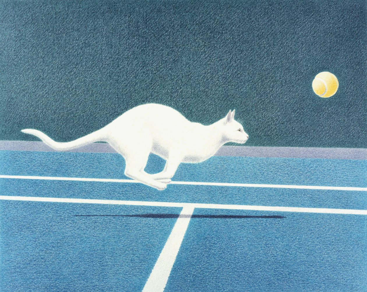 Tennis von Rene Boin