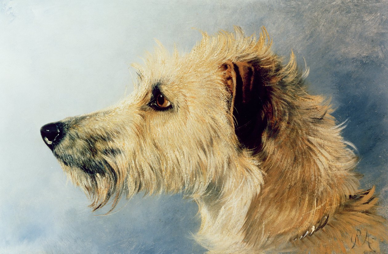 Kopf eines Hundes von Richard Ansdell