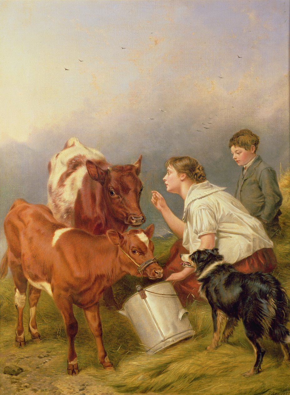 Das bevorzugte Kalb von Richard Ansdell