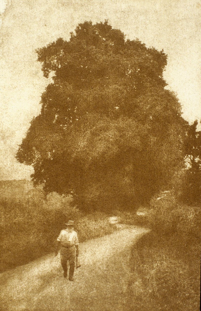 Surrey von John Pardon