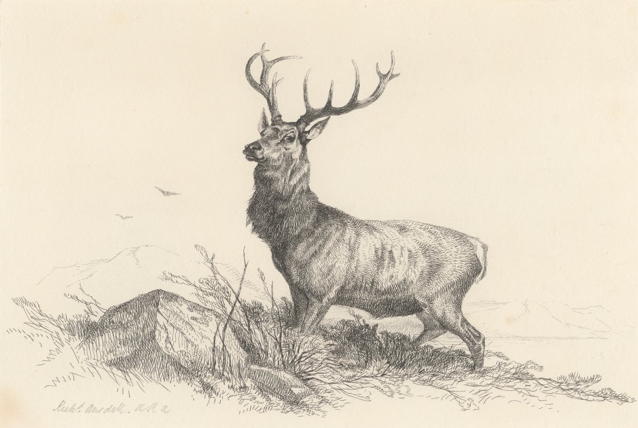 Der Wächter von Richard Ansdell