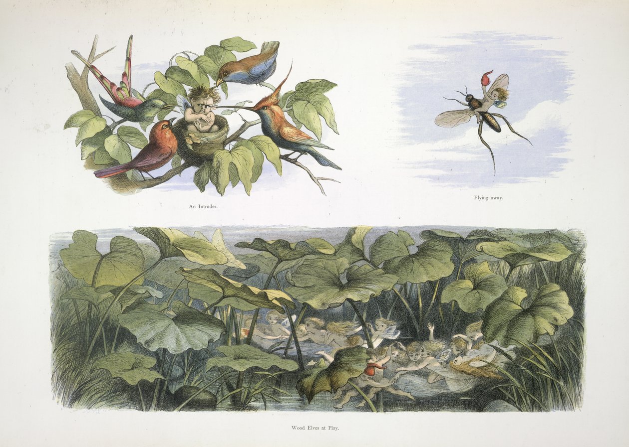 Elfen von Richard Doyle