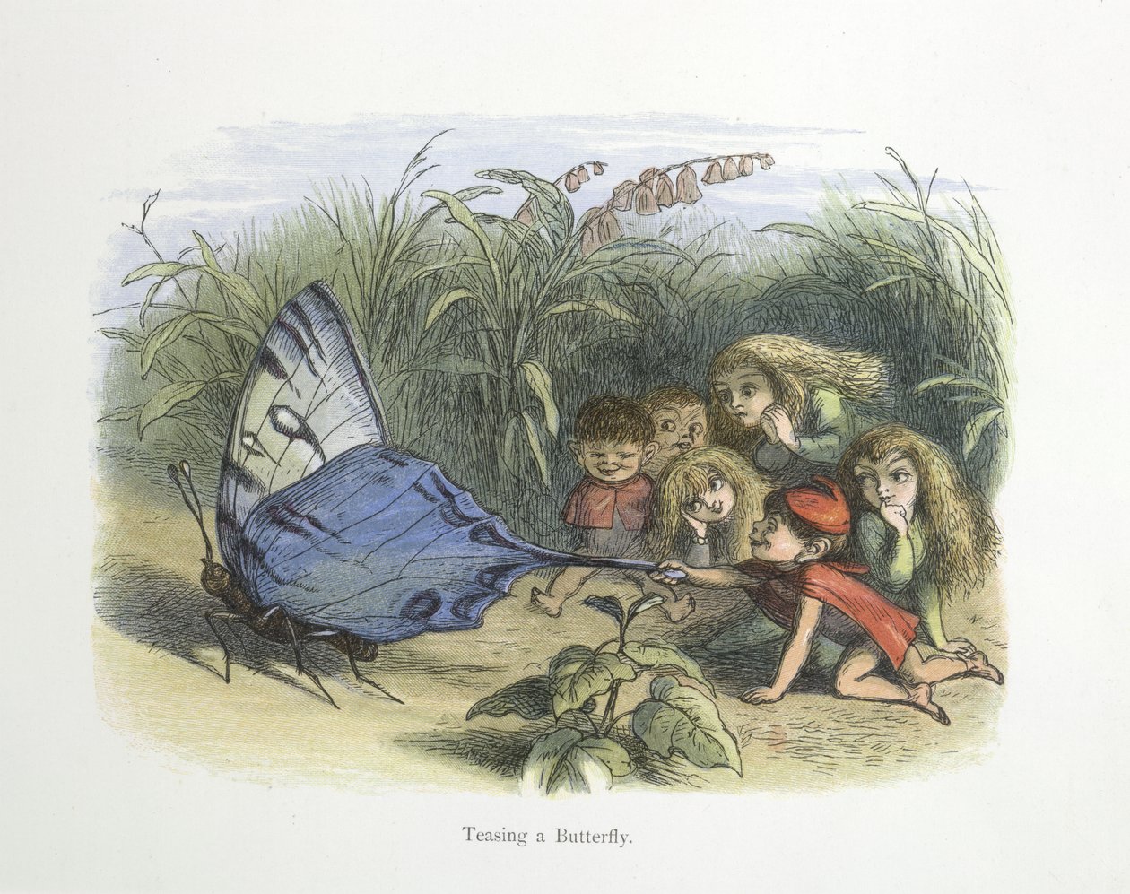 Einen Schmetterling ärgern von Richard Doyle