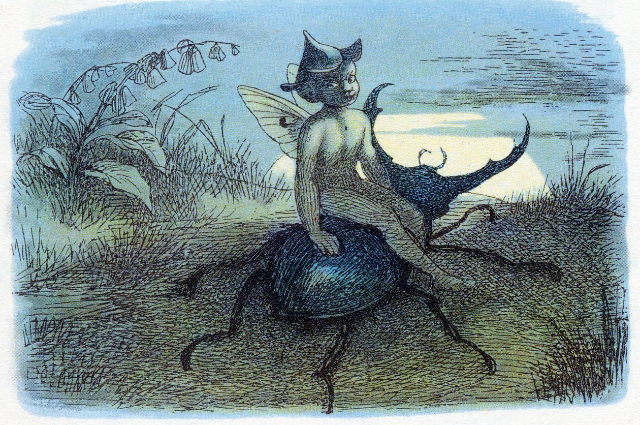 Der Bote der Feenkönigin von Richard Doyle
