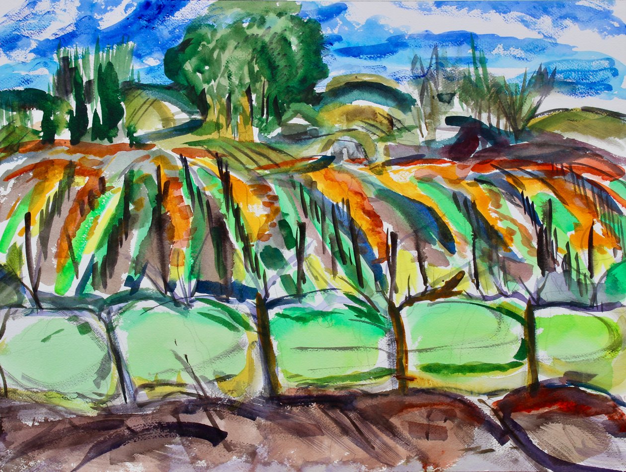 Herbstweinberge, Napa, 2017 von Richard Fox