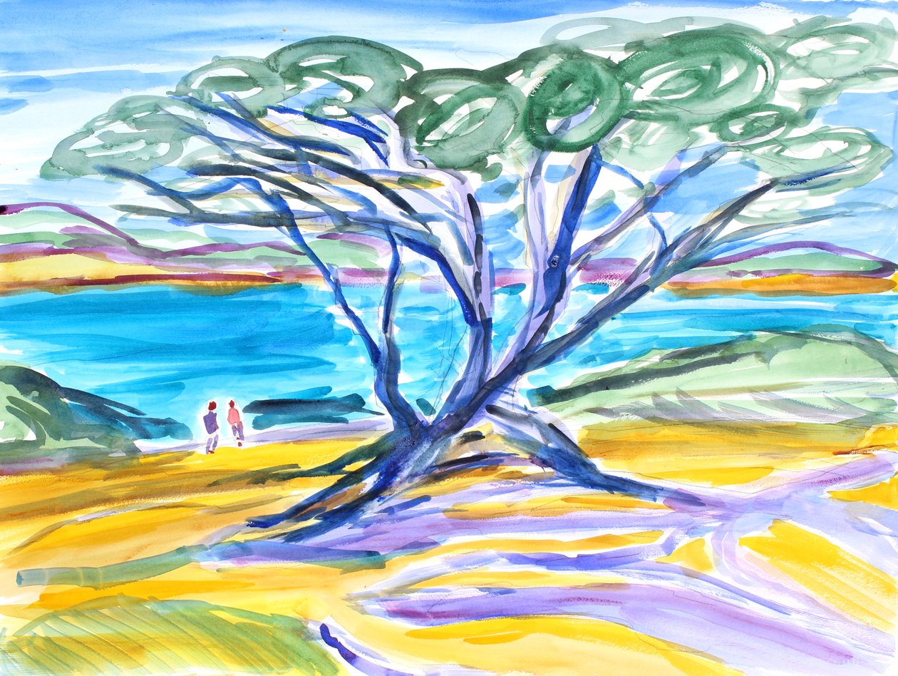 Zypresse, Carmel, 2019 von Richard Fox