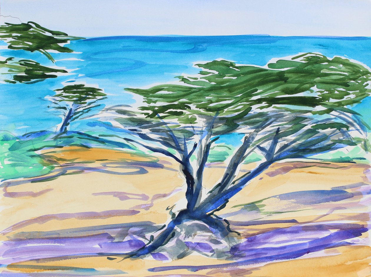 Zypresse, Carmel Bay, 2019 von Richard Fox