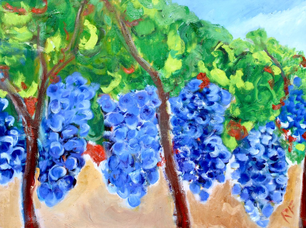 Trauben am Weinstock, 2017 von Richard Fox