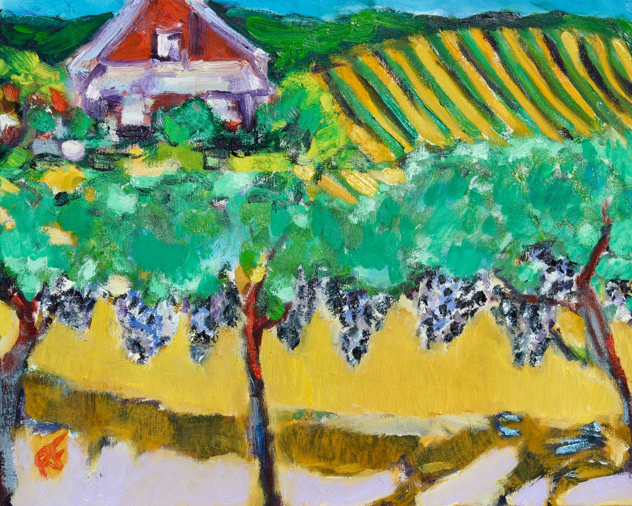 Merlot-Trauben, Napa von Richard Fox