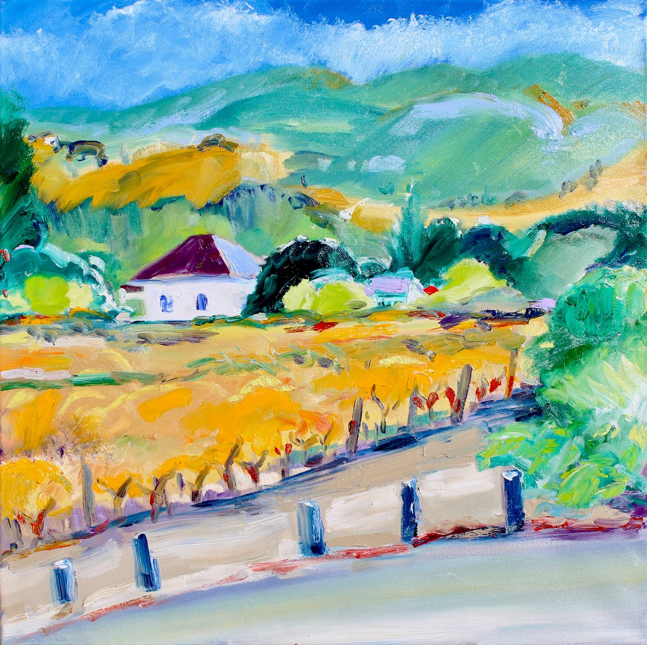 Weinberg im Herbst, Napa von Richard Fox