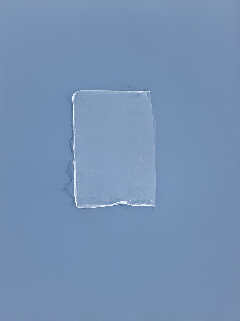 Ohne Titel, 2001 von Richard Green