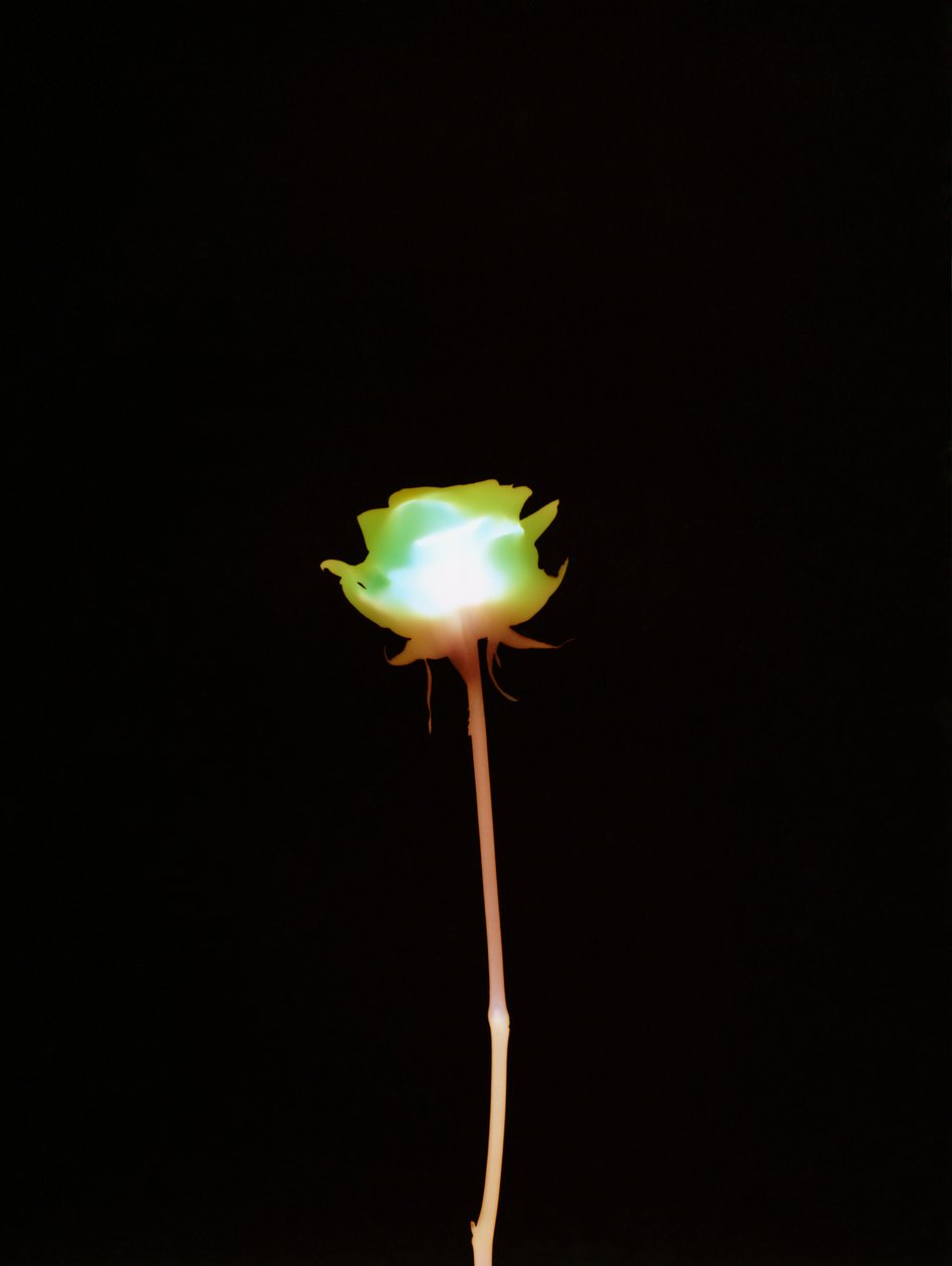 Ohne Titel, 2007 von Richard Green