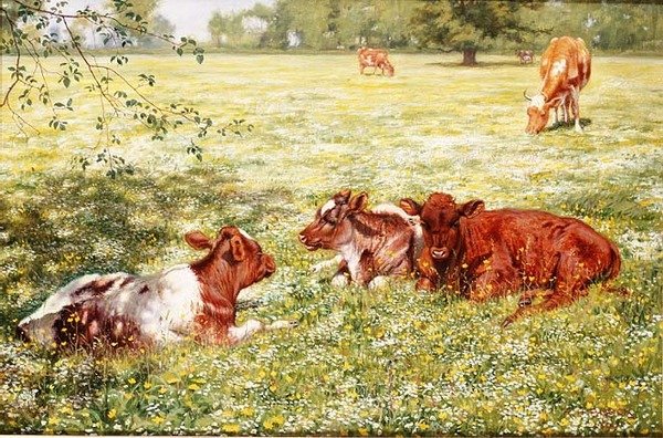 Kälber im Frühling von Richard Henry Brock